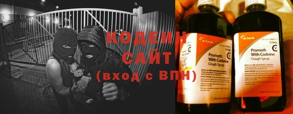 хмурый Абаза