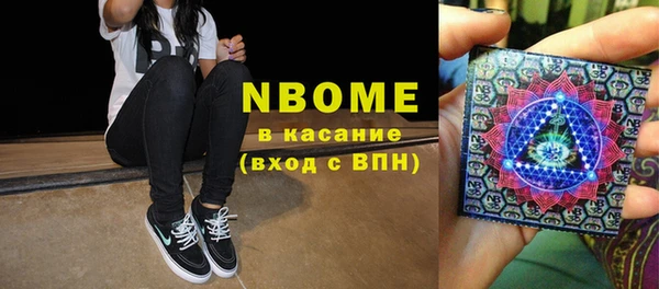 хмурый Абаза