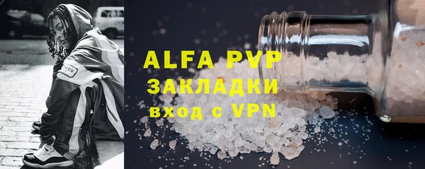 хмурый Абаза