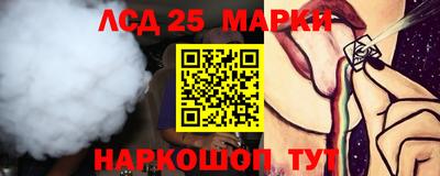 СК Рыбинск