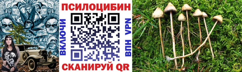 KRAKEN вход  Копейск  Галлюциногенные грибы Psilocybe 