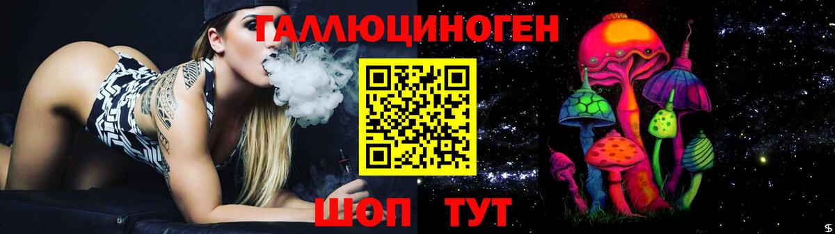 Псилоцибиновые грибы Psilocybe Копейск